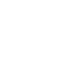 imi-pro-partner-logo