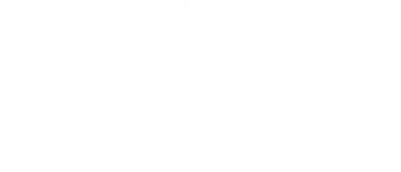 savory&partners-logo