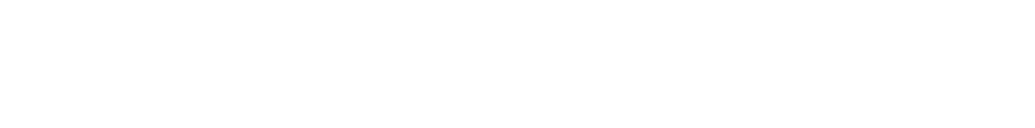 Global Ventures